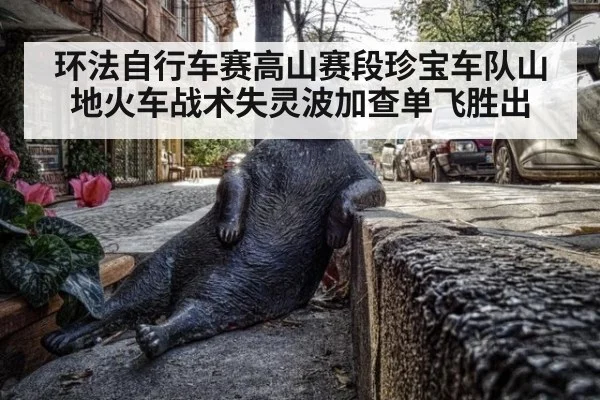 环法自行车赛高山赛段珍宝车队山地火车战术失灵波加查单飞胜出